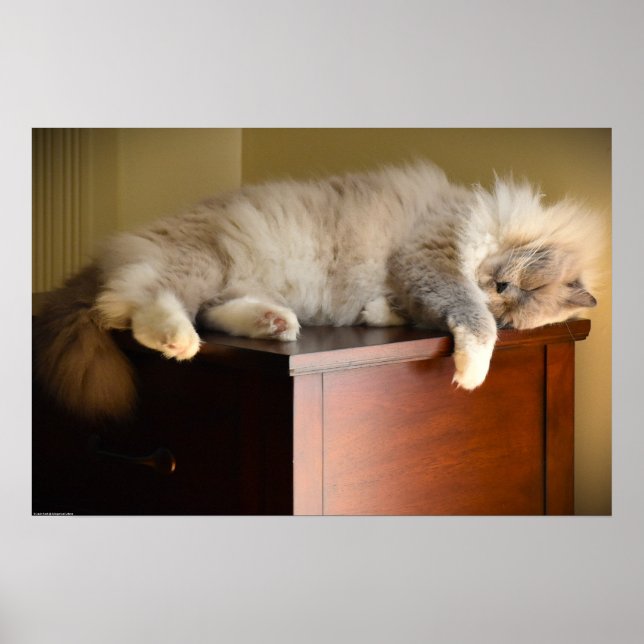 Långsamma dagar. poster (Framsidan)