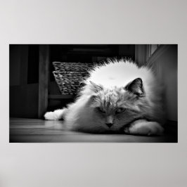 Långsamma dagar. poster