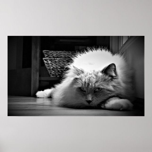 Långsamma dagar. poster (Framsidan)