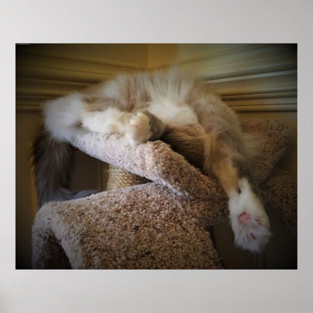 Långsamma dagar. poster (Framsidan)