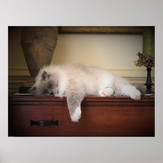 Långsamma dagar. poster (Framsidan)