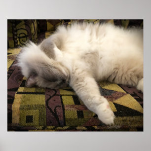 Långsamma dagar. poster