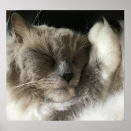 Långsamma dagar. poster