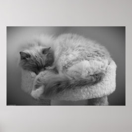 Långsamma dagar. poster