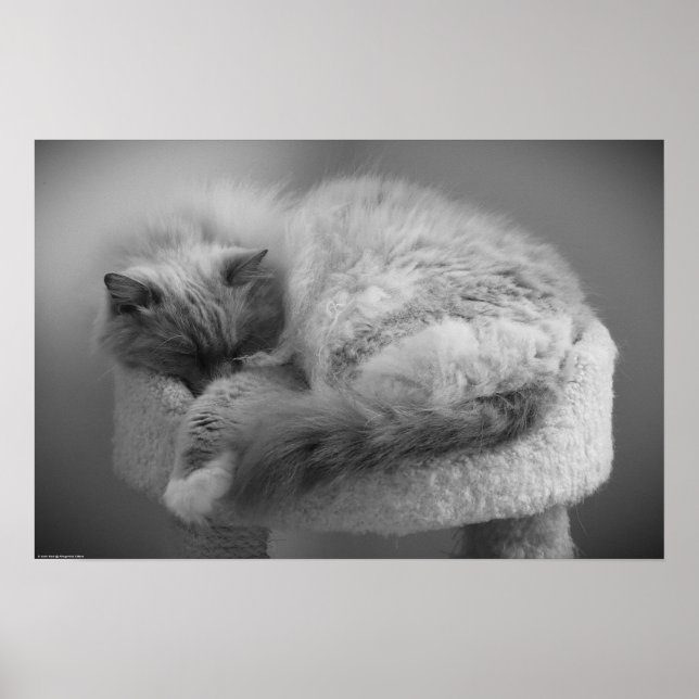 Långsamma dagar. poster (Framsidan)