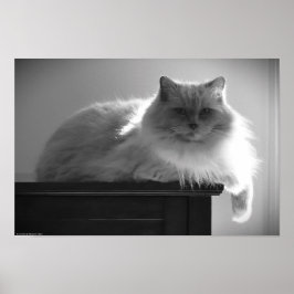 Långsamma dagar. poster