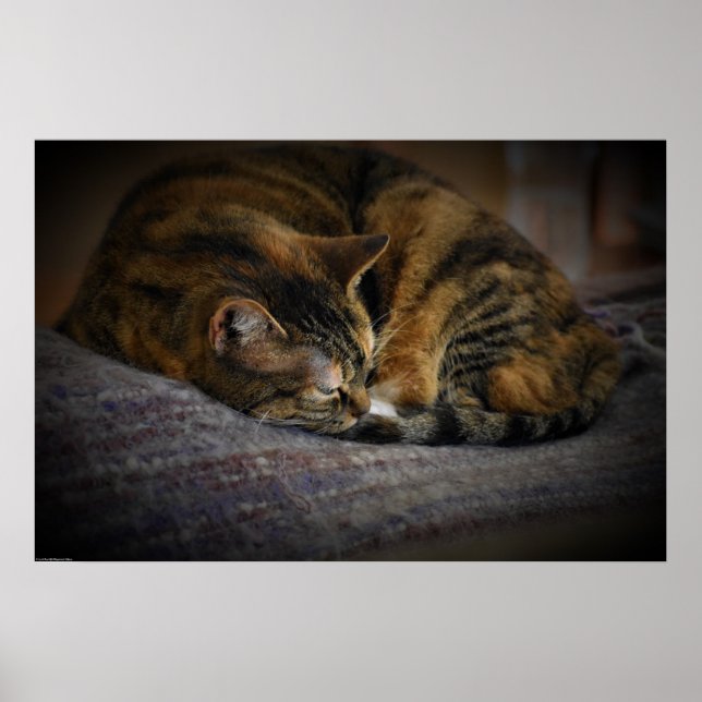 Långsamma dagar. poster (Framsidan)