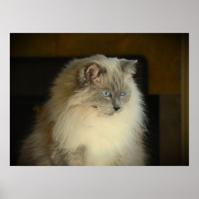 Långsamma dagar. poster (Framsidan)