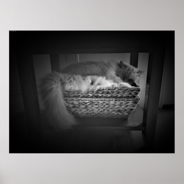 Långsamma dagar. poster (Framsidan)