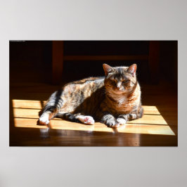 Långsamma dagar. poster