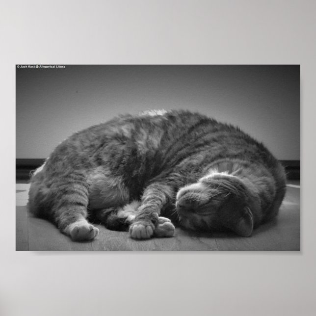 Långsamma dagar. poster (Framsidan)