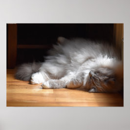 Långsamma dagar. poster