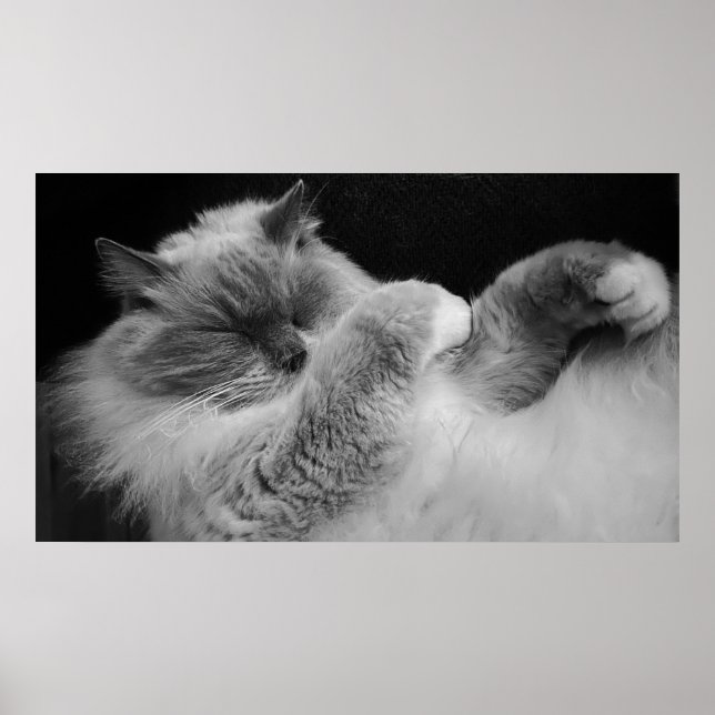 Långsamma dagar. poster (Framsidan)