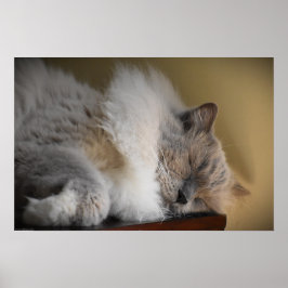 Långsamma dagar. poster