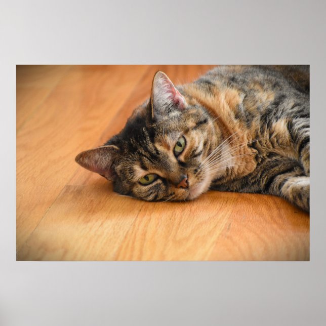 Långsamma dagar. poster (Framsidan)