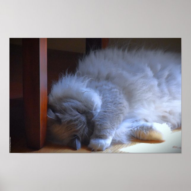 Långsamma dagar. poster (Framsidan)