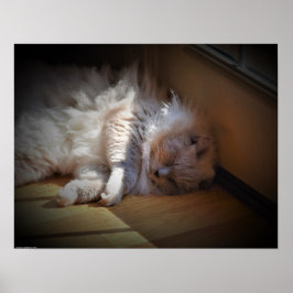 Långsamma dagar. poster