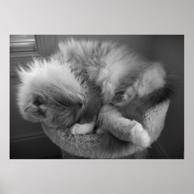 Långsamma dagar. poster (Framsidan)