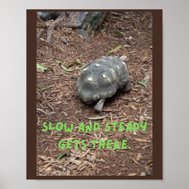 Långsamt och stadigt kommer dit! poster (Framsidan)