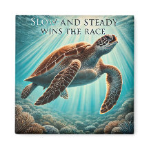 Långsamt och stillastående sköldpaddsmagnet