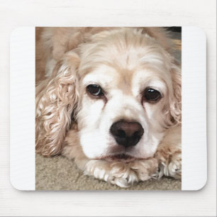 ***LÅNGSÄTTNINGSPANIEL*** MUSPAD MUSMATTA