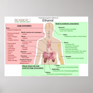 Långsiktiga effekter av Etanols matsmältningsschem Poster