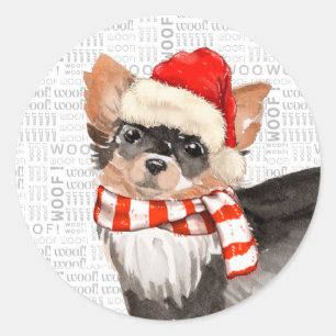 Långskött Chihuahua Hund Fleas Navidog Runt Klistermärke