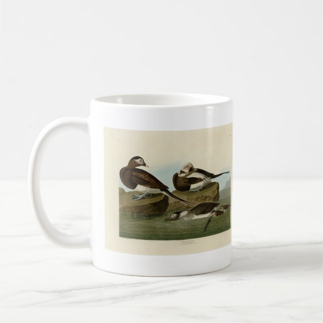 Långstjärt Anka - från Audubon's Birds of America Kaffemugg (Vänster)