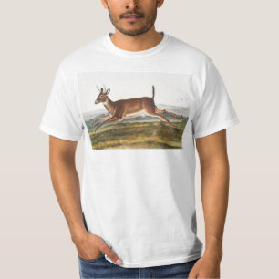 Långstjärt Hjort (Cervus leucurus) Illustration T Shirt