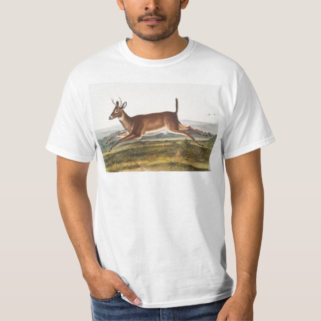 Långstjärt Hjort (Cervus leucurus) Illustration T Shirt (Framsida)