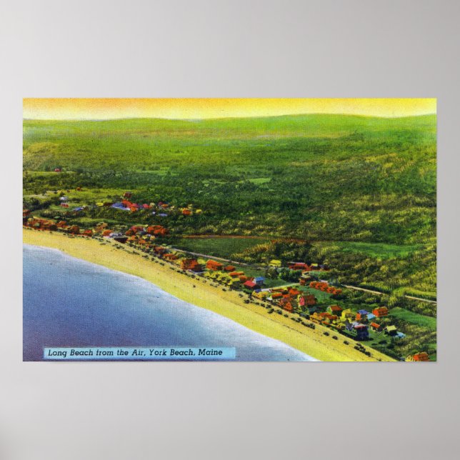 Långstjärt i York Beach Poster (Framsidan)