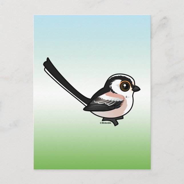 Långstjärt Vykort (Framsida)