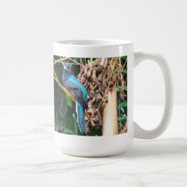 Långstjärtad blåfågel kaffemugg
