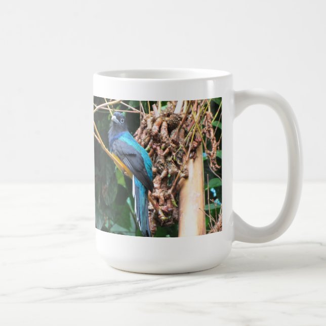 Långstjärtad blåfågel kaffemugg (Höger)