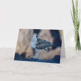 Långstjärtad gurka kort