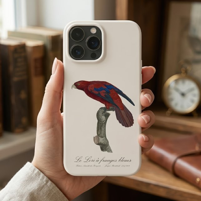 Långstjärtad lorikit, Trichoglossus borneus (Long-Tailed Red Lory, Trichoglossus borneus. iPhone Case)