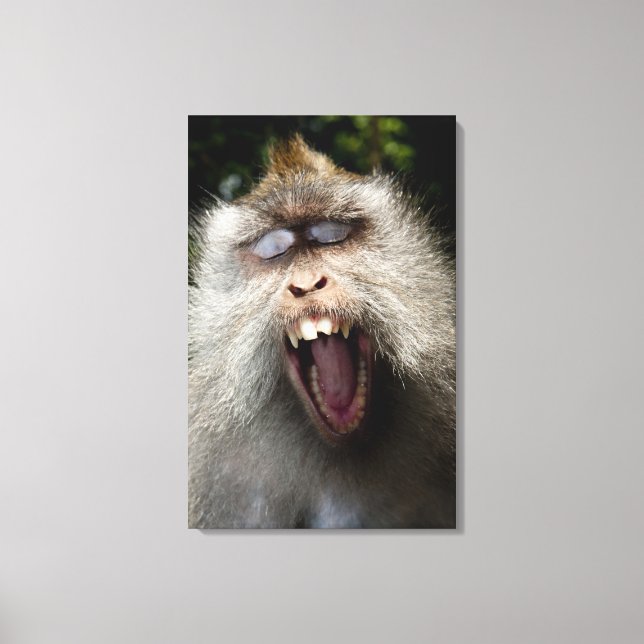 Långstjärtad makaker (Macaca fascicularis) Canvastryck (Framsida)