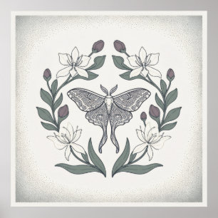 Långstjärtad Moth Elfenbensfärgad Lilja Blommig Kr Poster