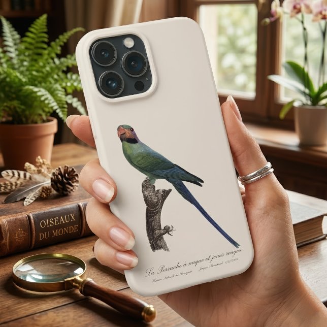 Långstjärtad parakit, Psittacula longicauda (Long-Tailed Parakeet, Psittacula Longicauda. iPhone Case)