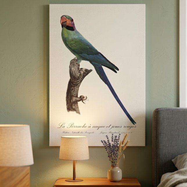 Långstjärtad parakit, Psittacula longicauda Canvastryck (Long-Tailed Parakeet, Psittacula Longicauda. Canvas Print)