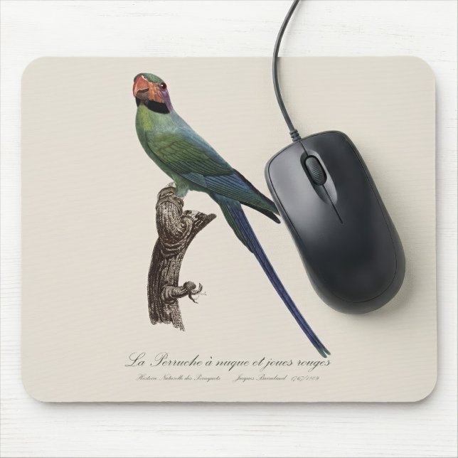 Långstjärtad parakit, Psittacula Longicauda Musmatta (Long-Tailed Parakeet, Psittacula Longicauda. Mouse Pad)