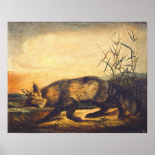 Långstjärtad rödräv - JW Audubon Fine Art Poster