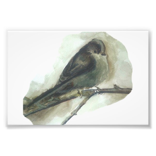 Långstjärtad utskrift av fåglarnas vattenfärg fototryck (Framsidan)