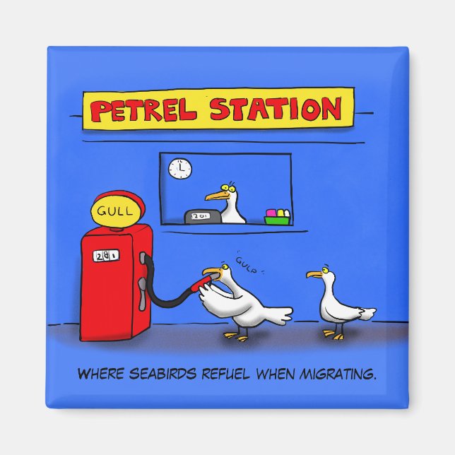 Långstjärtsmås tecknad humor magnet (Framsidan)