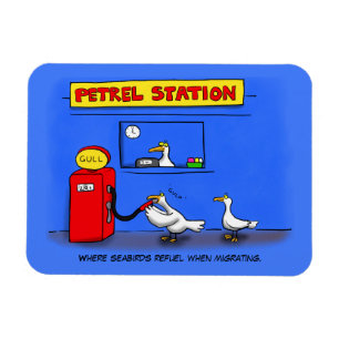 Långstjärtsmås tecknad humor magnet