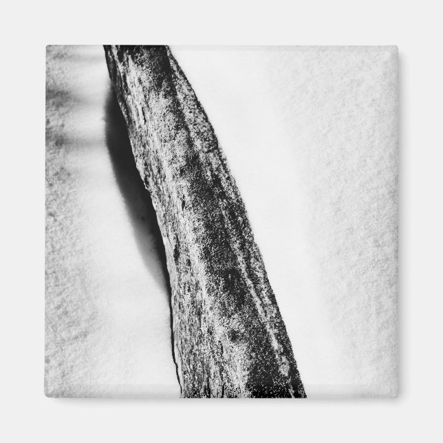 Långt hårt kall ensamt magnet (Framsidan)