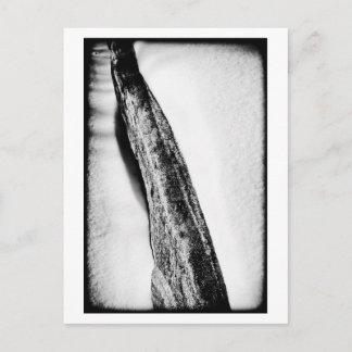 Långt hårt kall ensamt vykort