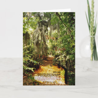 "Långt, sanning och liv ", Kort