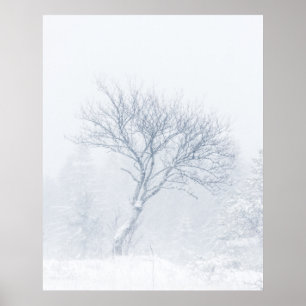 Långt träd under stormen snö under vintern poster
