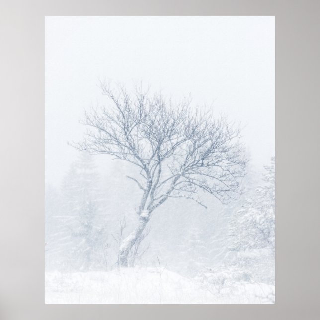 Långt träd under stormen snö under vintern poster (Framsidan)